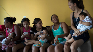 The WHO Was Wrong to Say Zika Is No Longer an Emergency